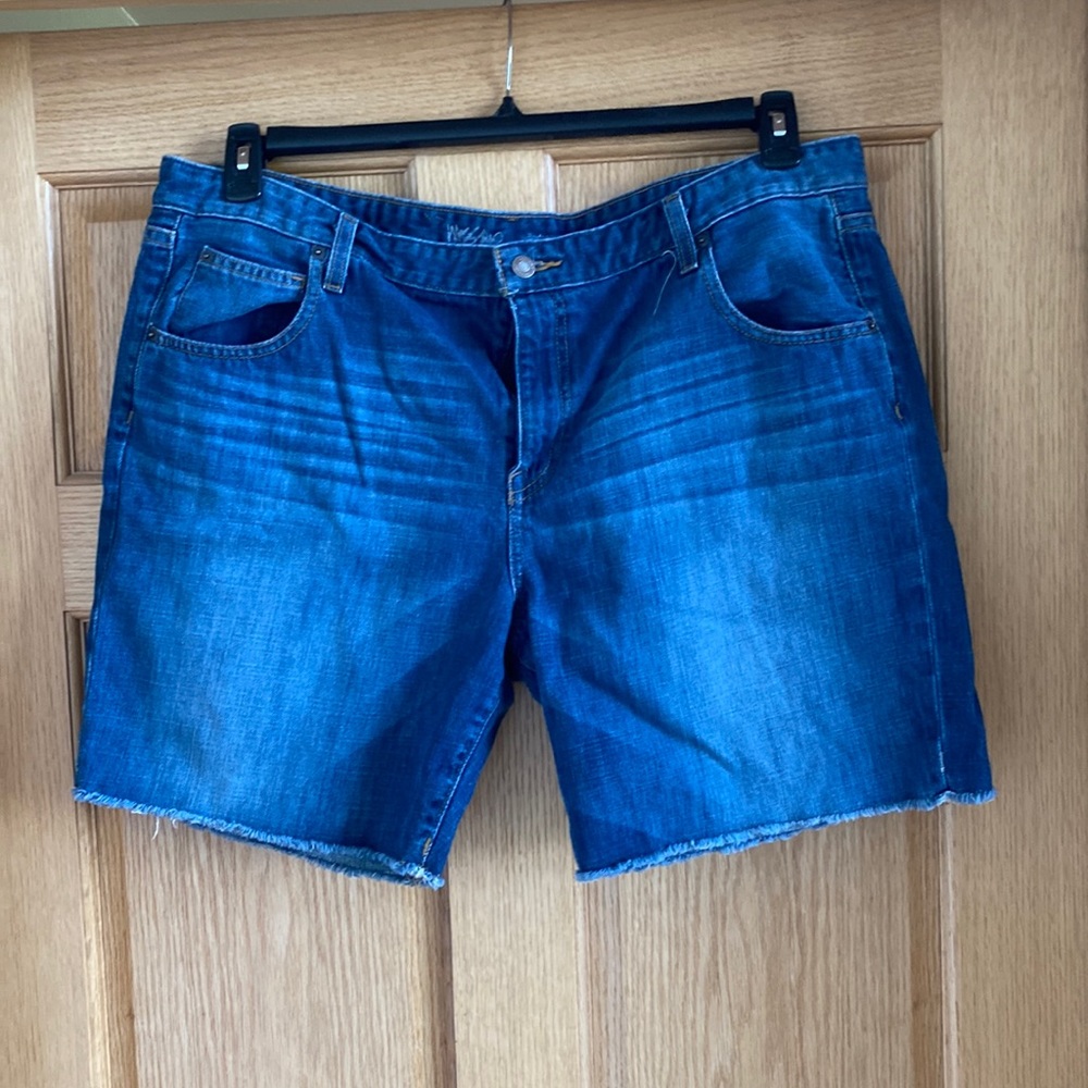 Plus size Jean shorts.  Worn only a few times.  Great condition.